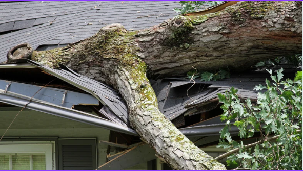 Storm Damage Repair: What to Do First (and How Insurance Claims Work)